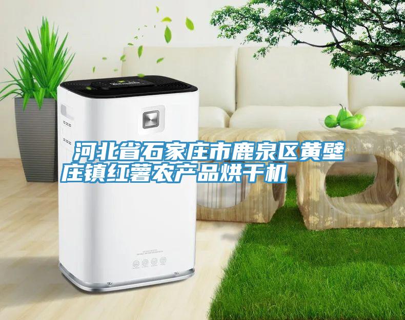 ?河北省石家莊市鹿泉區黃壁莊鎮紅薯農產(chǎn)品烘干機