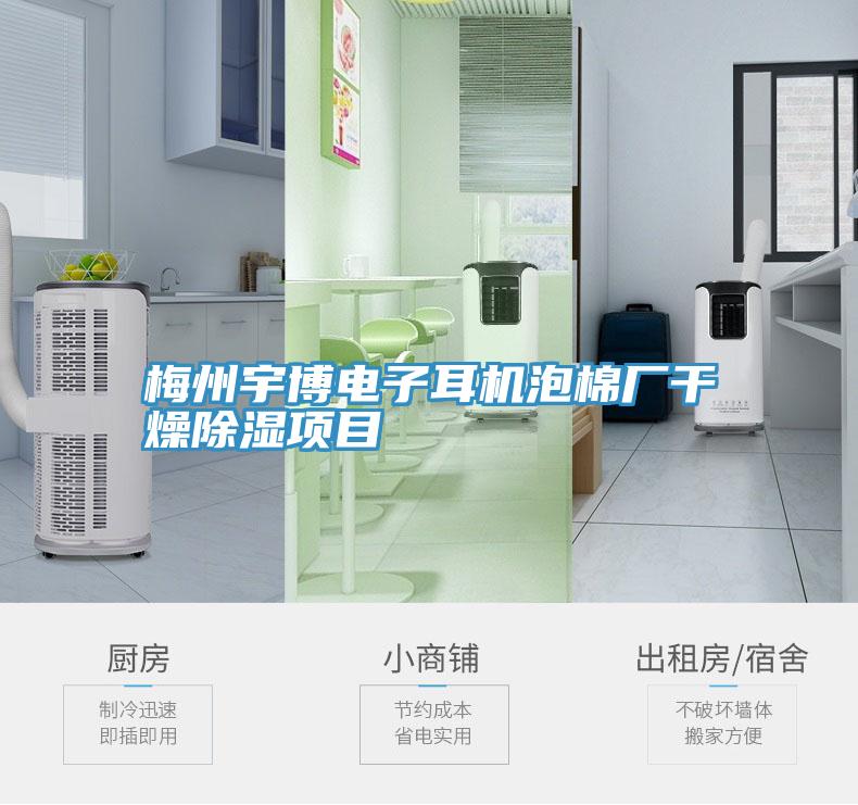 梅州宇博電子耳機泡棉廠(chǎng)干燥除濕項目
