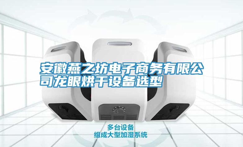安徽燕之坊電子商務(wù)有限公司龍眼烘干設備選型