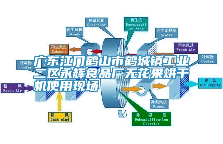 廣東江門(mén)鶴山市鶴城鎮工業(yè)二區永輝食品廠(chǎng)無(wú)花果烘干機使用現場(chǎng)