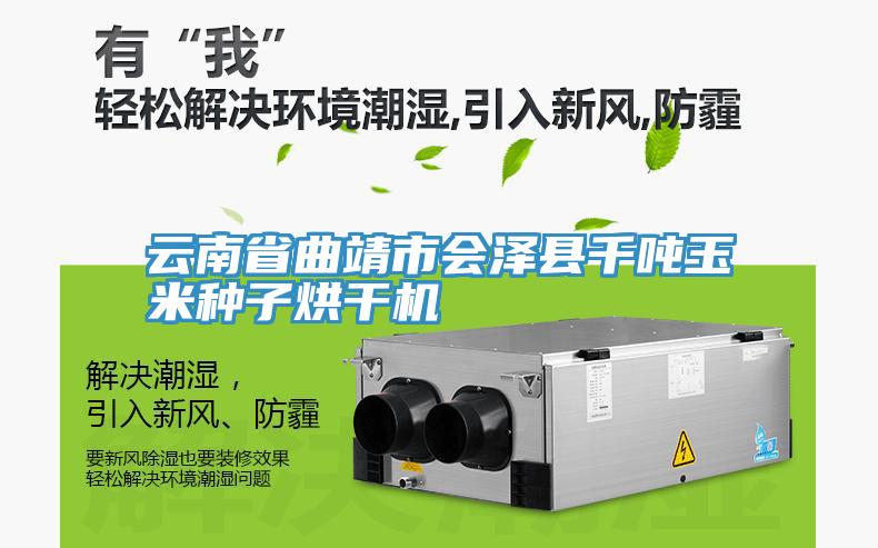 云南省曲靖市會(huì )澤縣千噸玉米種子烘干機