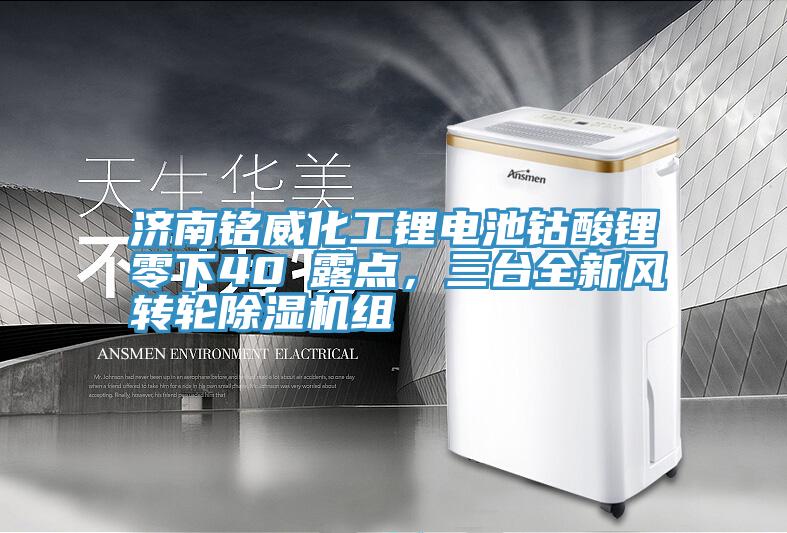 濟南銘威化工鋰電池鈷酸鋰零下40℃露點(diǎn)，三臺全新風(fēng)轉輪除濕機組