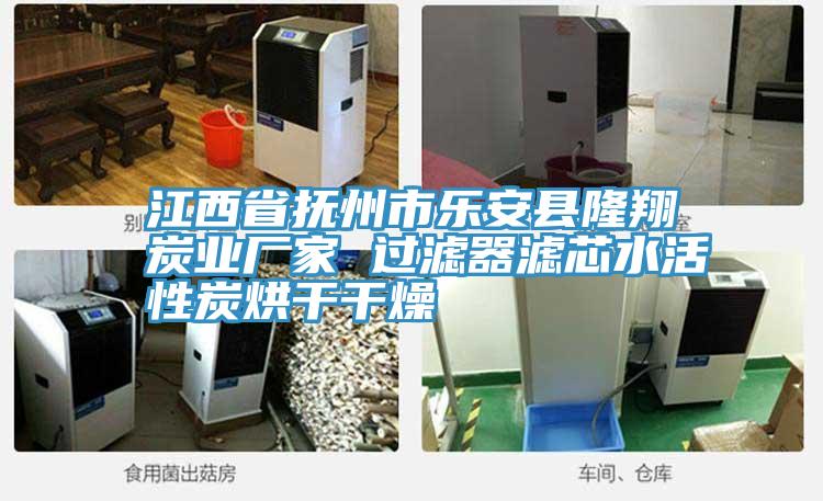 江西省撫州市樂(lè )安縣隆翔炭業(yè)廠(chǎng)家 過(guò)濾器濾芯水活性炭烘干干燥
