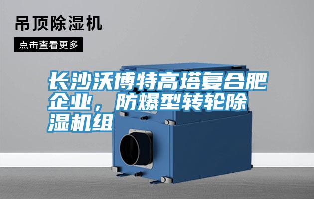 長(cháng)沙沃博特高塔復合肥企業(yè)，防爆型轉輪除濕機組