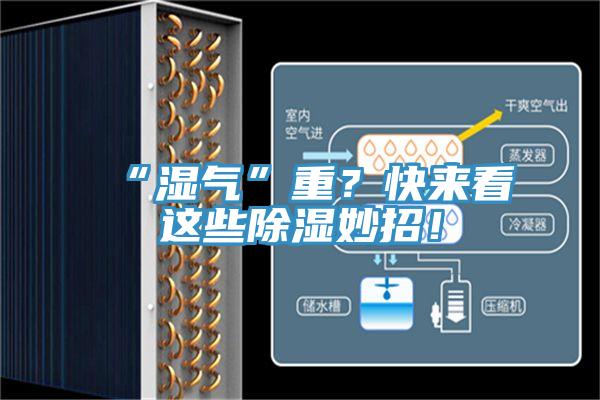 “濕氣”重?快來看這些除濕妙招!