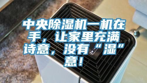 中央除濕機(jī)一機(jī)在手,讓家里充滿詩意,沒有“濕”意!