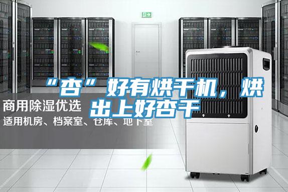 “杏”好有烘干機(jī),烘出上好杏干