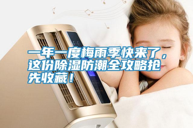 一年一度梅雨季快來了,這份除濕防潮全攻略搶先收藏!