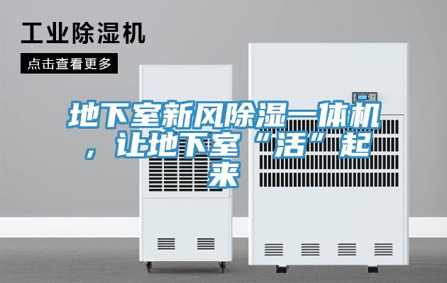 地下室新風除濕一體機，讓地下室“活”起來