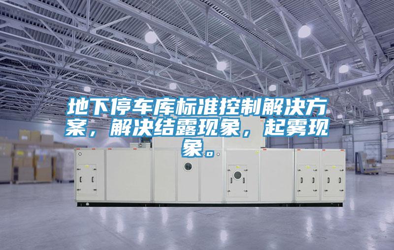 地下停車(chē)庫(kù)標(biāo)準(zhǔn)控制解決方案,解決結(jié)露現(xiàn)象,起霧現(xiàn)象。