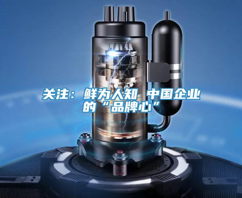 關注:鮮為人知 中國企業的“品牌心”