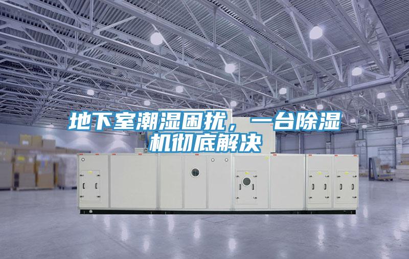 地下室潮濕困擾,一臺除濕機徹底解決