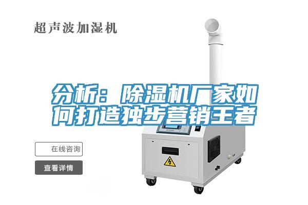 分析:除濕機廠家如何打造獨步營銷王者