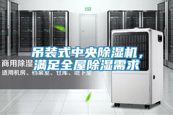 吊裝式中央除濕機,滿足全屋除濕需求