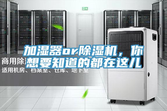 加濕器or除濕機(jī),你想要知道的都在這兒