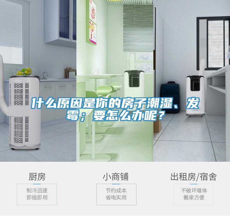 什么原因是你的房子潮濕、發霉；要怎么辦呢？