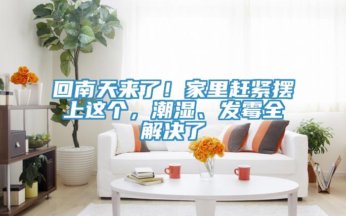 回南天來了!家里趕緊擺上這個,潮濕、發(fā)霉全解決了