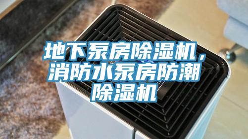 地下泵房除濕機，消防水泵房防潮除濕機