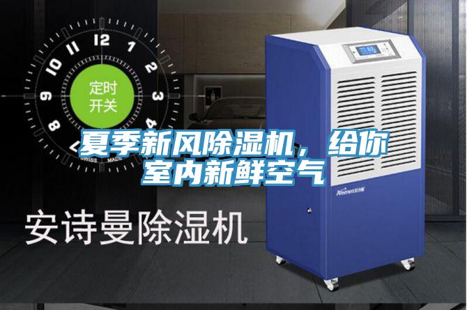 夏季新風(fēng)除濕機(jī),給你室內(nèi)新鮮空氣