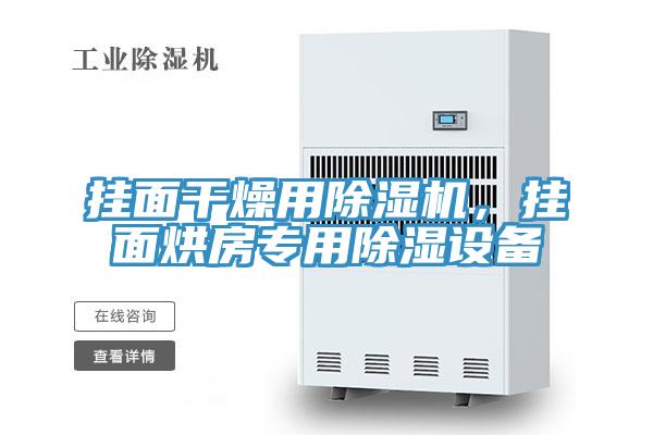 掛面干燥用除濕機，掛面烘房專用除濕設備