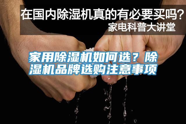 家用除濕機如何選？除濕機品牌選購注意事項