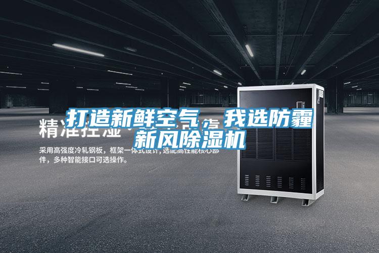 打造新鮮空氣,我選防霾新風除濕機