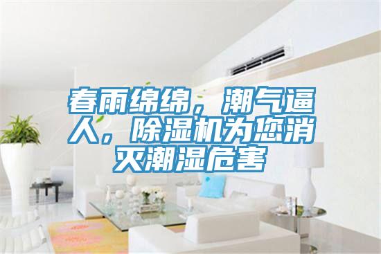 春雨綿綿，潮氣逼人，除濕機為您消滅潮濕危害