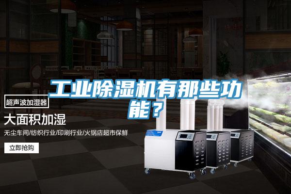 工業除濕機有那些功能？