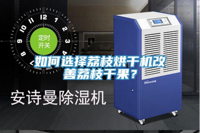 如何選擇荔枝烘干機改善荔枝干果?