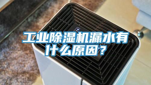 工業除濕機漏水有什么原因？