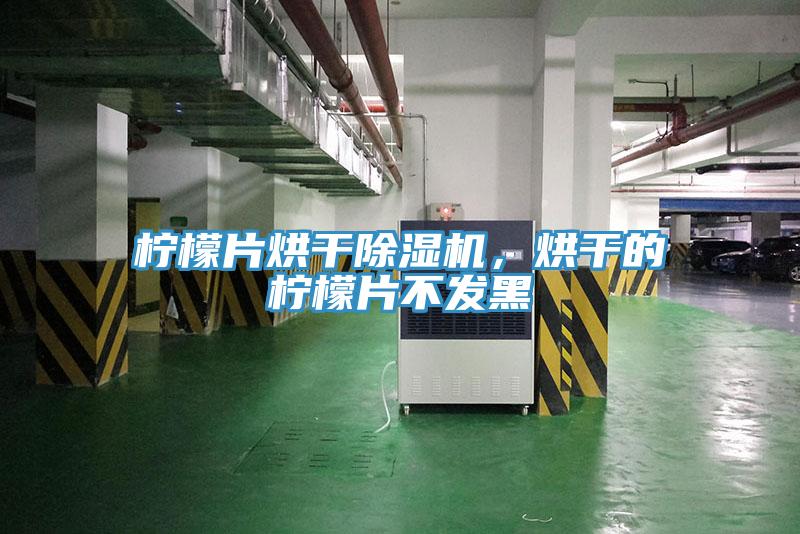 檸檬片烘干除濕機，烘干的檸檬片不發黑