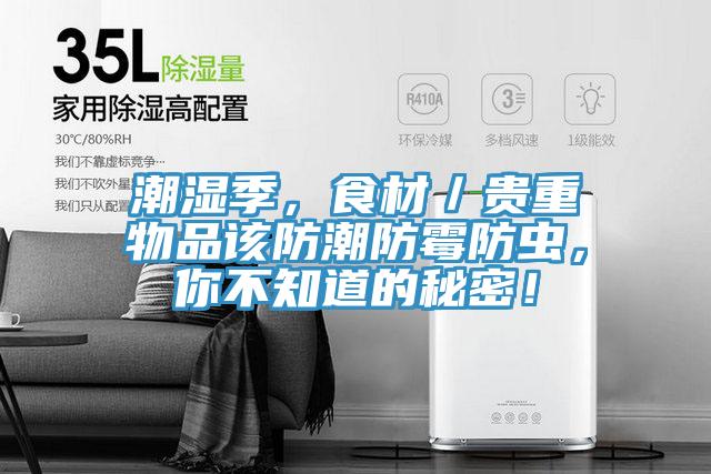 潮濕季，食材／貴重物品該防潮防霉防蟲，你不知道的秘密！