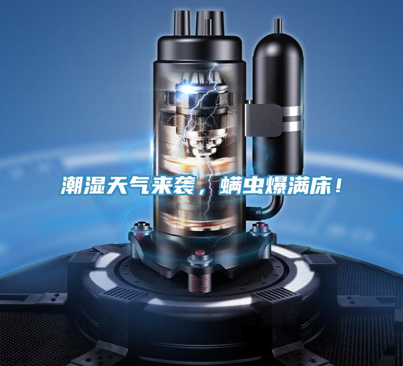 潮濕天氣來襲，螨蟲爆滿床！