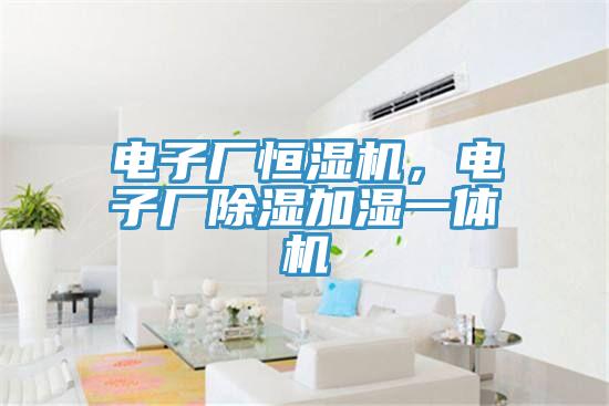 電子廠恒濕機，電子廠除濕加濕一體機