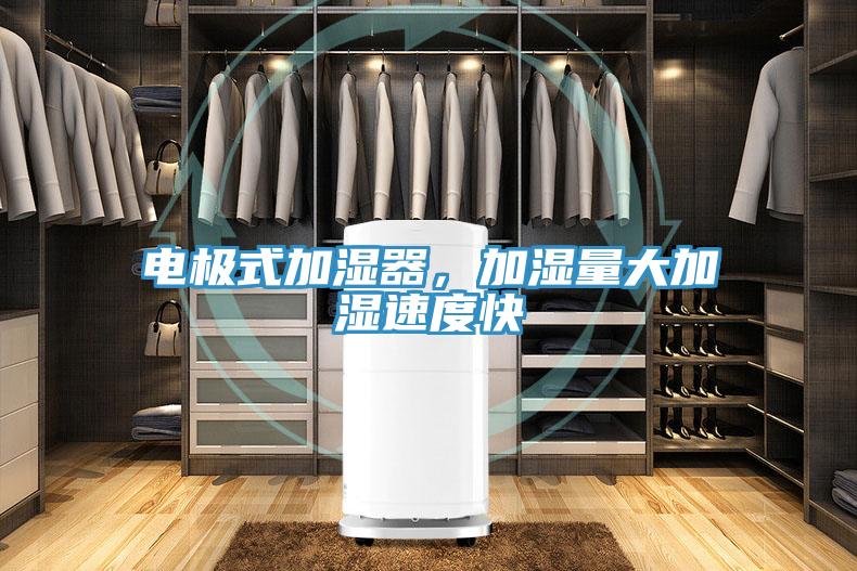 電極式加濕器，加濕量大加濕速度快
