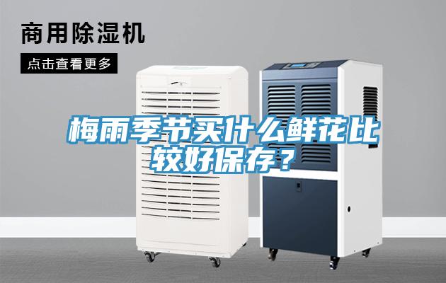 梅雨季節買什么鮮花比較好保存?