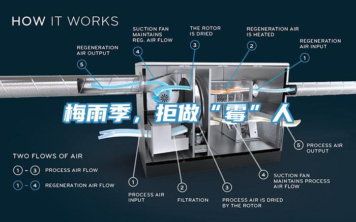 梅雨季,拒做“霉”人