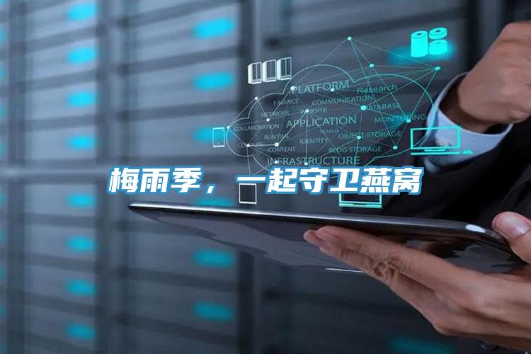 梅雨季,一起守衛燕窩