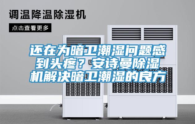 還在為暗衛(wèi)潮濕問題感到頭疼？安詩曼除濕機(jī)解決暗衛(wèi)潮濕的良方