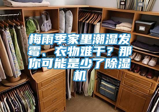 梅雨季家里潮濕發(fā)霉、衣物難干?那你可能是少了除濕機(jī)
