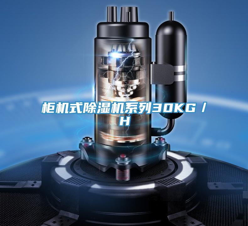 柜機式除濕機系列30KG/H