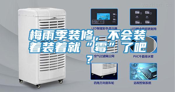 梅雨季裝修,不會裝著裝著就“霉”了吧?