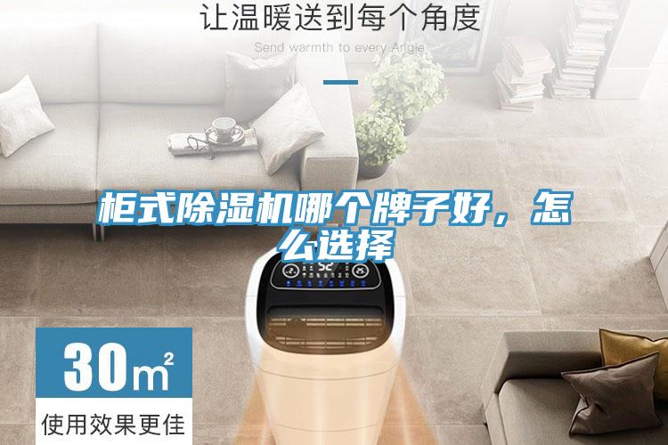 柜式除濕機哪個牌子好,怎么選擇
