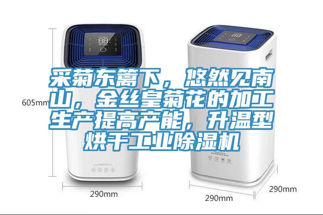采菊東籬下,悠然見南山,金絲皇菊花的加工生產(chǎn)提高產(chǎn)能,升溫型烘干工業(yè)除濕機(jī)