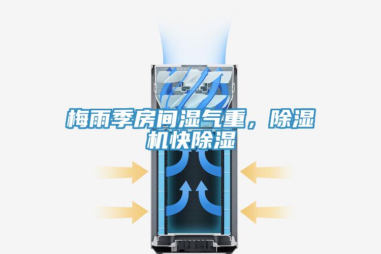 梅雨季房間濕氣重,除濕機快除濕