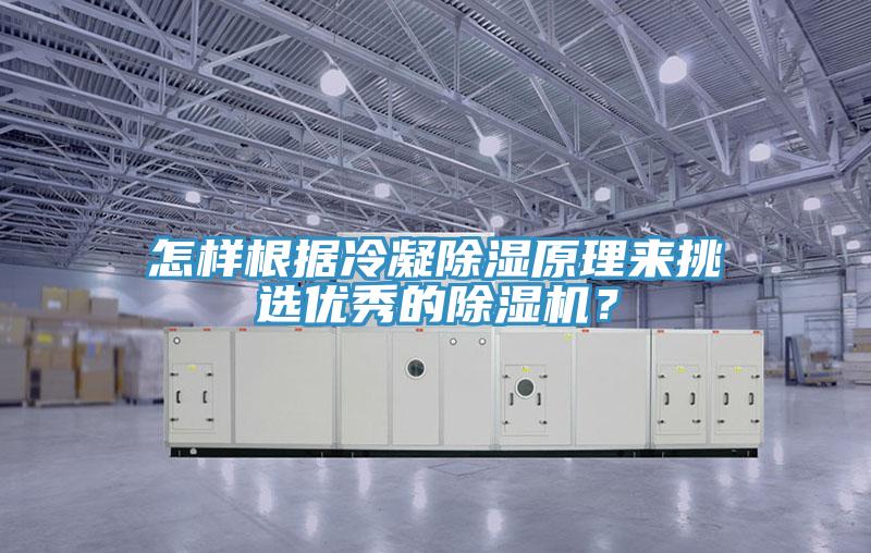 怎樣根據(jù)冷凝除濕原理來挑選優(yōu)秀的除濕機?