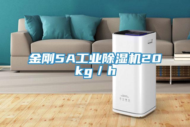 金剛5A工業除濕機20kg/h