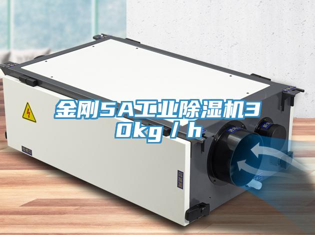 金剛5A工業除濕機30kg/h
