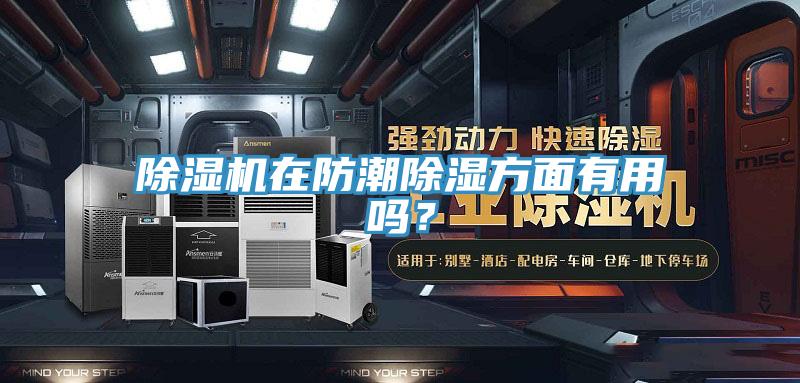 除濕機(jī)在防潮除濕方面有用嗎?