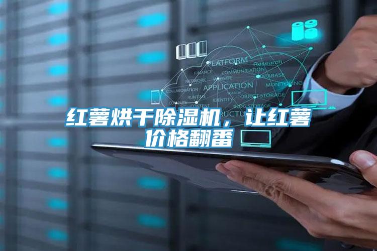 紅薯烘干除濕機(jī),讓紅薯價格翻番